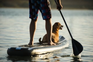 joint-pain-paddleboarding