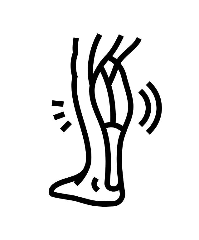 Calf