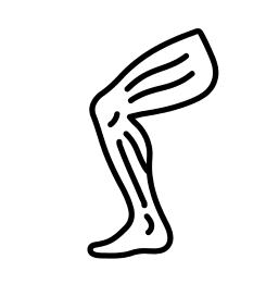 Hamstring-2