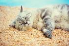 Can-showing-how-important-rest-is